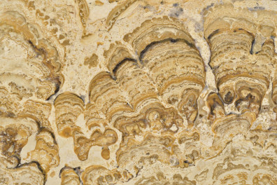 Stromatolihe (surface polie)